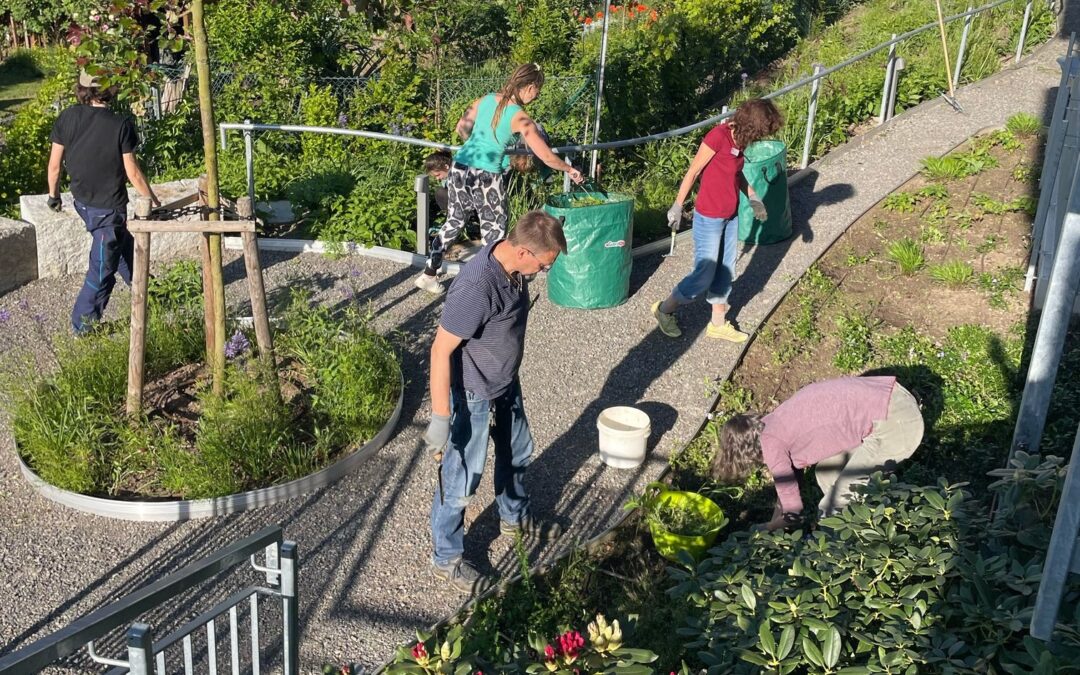 Erfolgreiche Gartenaktion